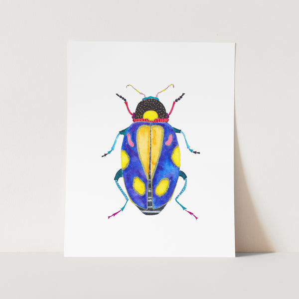 Beetle No. 13