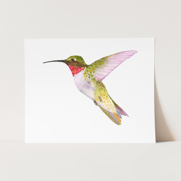 Ruby-Throated Hummingbird